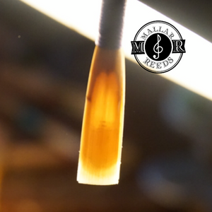 A backlit picture of a handmade oboe reed. The picture shows the spine, heart, and windows. Professional oboe reeds help you to sound the best you can. 